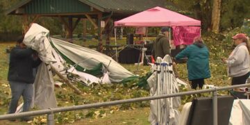 One Man Dead, Several Injured After Tree Falls onto Vendors at Pierce County Halloween Market
