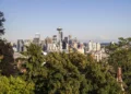 Mayor Bruce Harrell Signs Executive Order to Enhance Seattle Tree Preservation on Private Property