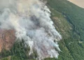 Washington Wildfires Burn Over 250,000 Acres as Budget Cuts Threaten Prevention Programs