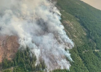 Washington Wildfires Burn Over 250,000 Acres as Budget Cuts Threaten Prevention Programs