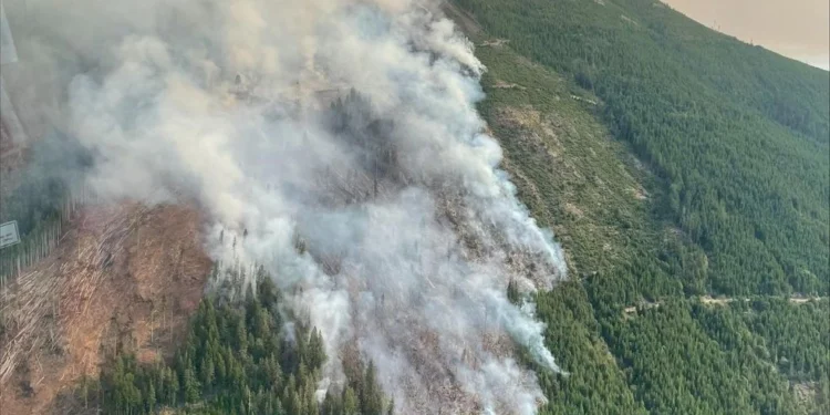 Washington Wildfires Burn Over 250,000 Acres as Budget Cuts Threaten Prevention Programs
