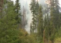 Washington Wildfires Burn Over 237,000 Acres, Forcing Evacuations and Highway Closures