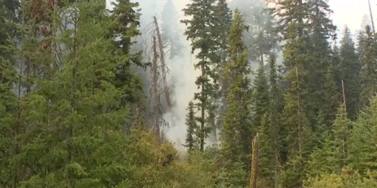 Washington Wildfires Burn Over 237,000 Acres, Forcing Evacuations and Highway Closures