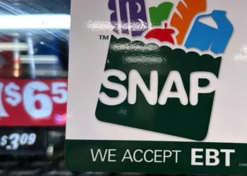 Washington State Distributes Complete November SNAP Benefits as Federal Uncertainty Looms
