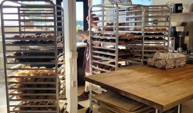 How Mount Bagel Is Redefining Simplicity in Seattle’s Bagel Scene