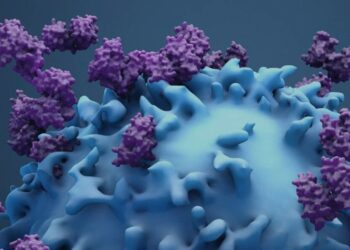 Seattle Biotech Startup Accipiter Bio Launches with $12.7 Million and Partnerships to Revolutionize Protein-Based Therapies