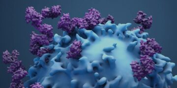 Seattle Biotech Startup Accipiter Bio Launches with $12.7 Million and Partnerships to Revolutionize Protein-Based Therapies