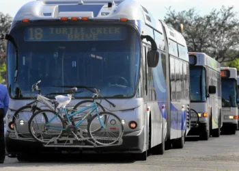 Picture Credit: Sun Sentinel