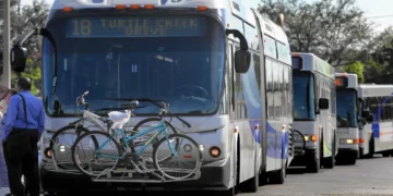 Picture Credit: Sun Sentinel