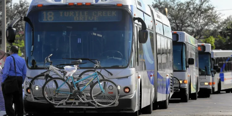 Picture Credit: Sun Sentinel