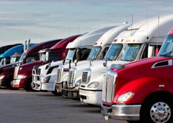 California Revokes 17,000 Commercial Driver’s Licenses Over Immigration Status Discrepancies