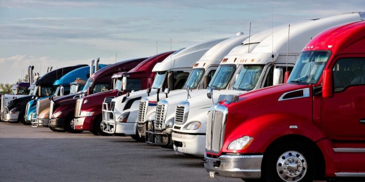 California Revokes 17,000 Commercial Driver’s Licenses Over Immigration Status Discrepancies