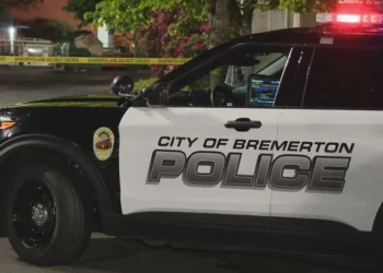 Fatal Hit-and-Run in Bremerton Claims Pedestrian’s Life as Investigators Pursue Multiple Leads