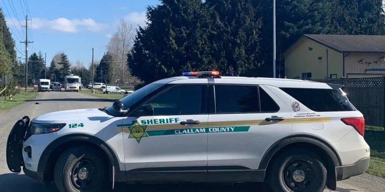 Picture Credit: KOMO News