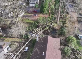 Picture Credit: KATU