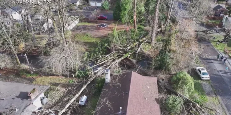 Picture Credit: KATU