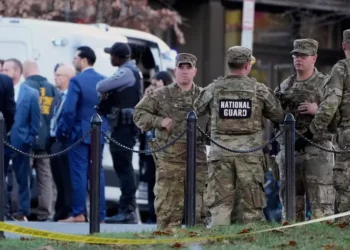 Picture Credit: FOX 13 Seattle