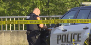 Picture Credit: KOMO News