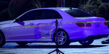 Picture Credit: KOMO News