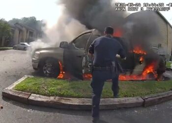 Picture Credit: ABC11