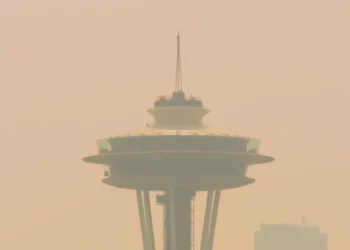 Picture Credit: Fox 13 Seattle