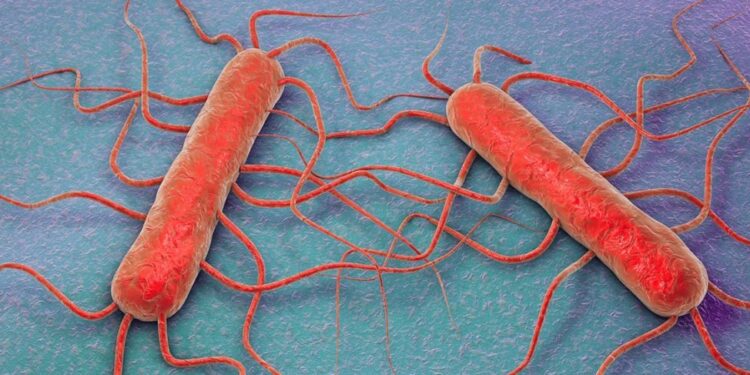 Snohomish County Woman Hospitalized in Multistate Listeria Outbreak Linked to Prepared Pasta Products