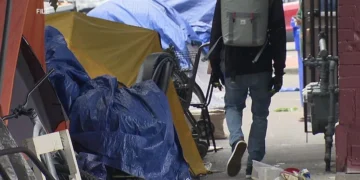 Lynnwood Teen Critically Injured in Planned Stabbing Attack Involving Former Acquaintances