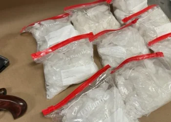 Picture Credit: KOMO News