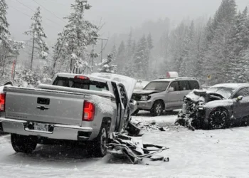 Picture Credit: FOX 13 Seattle