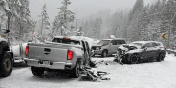 Picture Credit: FOX 13 Seattle