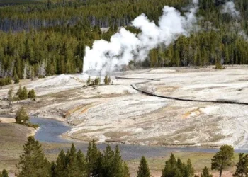 Picture Credit: The Spokesman-Review