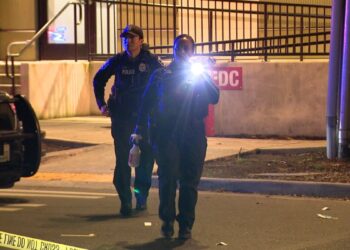 Picture Credit: KOMO News