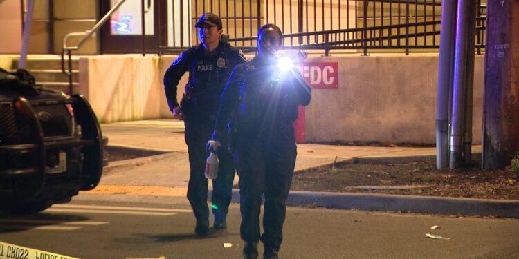 Picture Credit: KOMO News