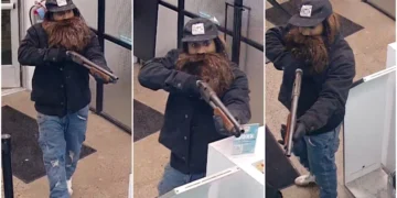 Thieves Steal $50,000 in Construction Equipment Including Excavator from Puyallup Business