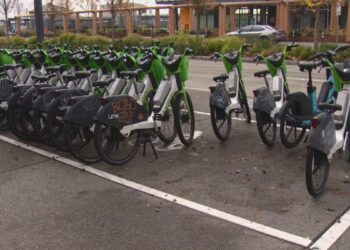 Picture Credit: King 5 News