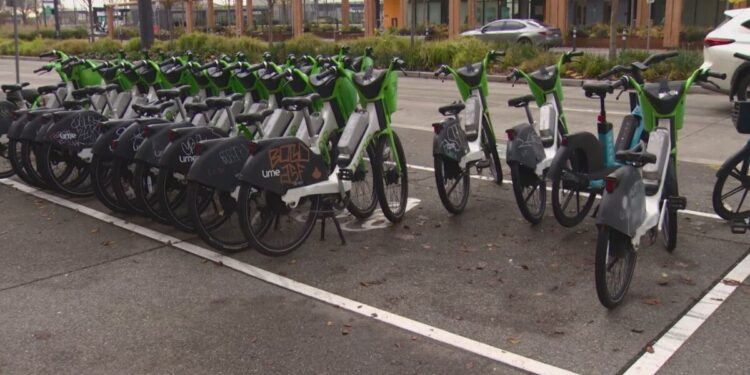 Picture Credit: King 5 News