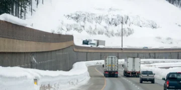 Picture Credit: The Seattle Times