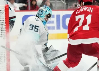 Picture Credit: KOMO News