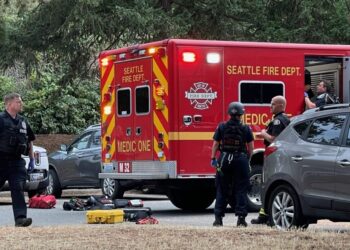 Picture Credit: West Seattle Blog