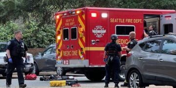 Picture Credit: West Seattle Blog