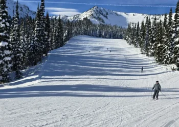 Picture Credit: FOX 13 Seattle