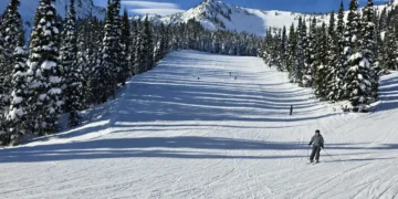 Picture Credit: FOX 13 Seattle