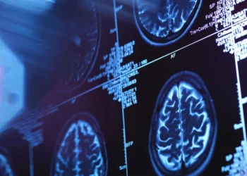 Picture Credit: KOMO News