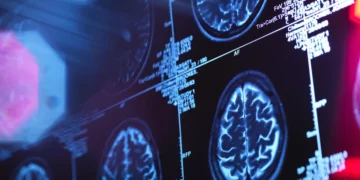 Picture Credit: KOMO News