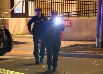 Two Teenagers Detained Following Armed Carjacking and Pursuit in North Seattle