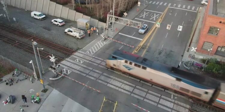 Picture Credit: King5 News