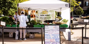 Tukwila Families Seek Free Market Assistance After Week Without SNAP Benefits