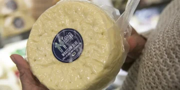 E. Coli Outbreak Linked to Ferndale Artisanal Cheese Producer Affects 10 People Across Two States