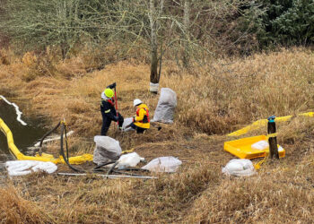 Picture Credit: KOMO News