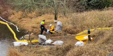 Picture Credit: KOMO News